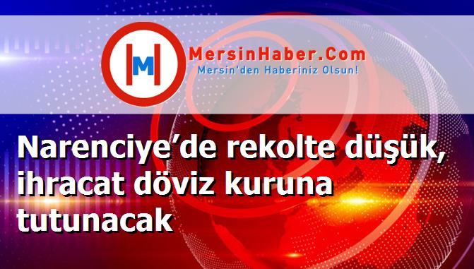 Narenciye’de rekolte düşük, ihracat döviz kuruna tutunacak
