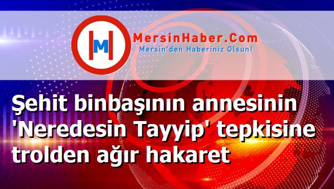 Şehit binbaşının annesinin 'Neredesin Tayyip' tepkisine trolden ağır hakaret