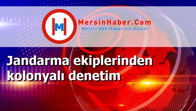Jandarma ekiplerinden kolonyalı denetim
