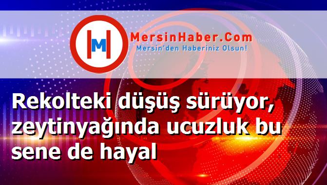Rekolteki düşüş sürüyor, zeytinyağında ucuzluk bu sene de hayal