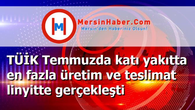 TÜİK Temmuzda katı yakıtta en fazla üretim ve teslimat linyitte gerçekleşti