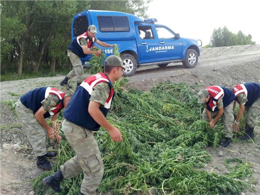 670 bin Hint keneviri imha edildi