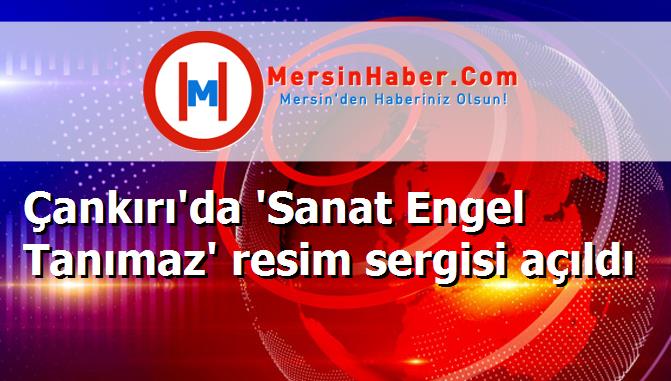 Çankırı'da 'Sanat Engel Tanımaz' resim sergisi açıldı