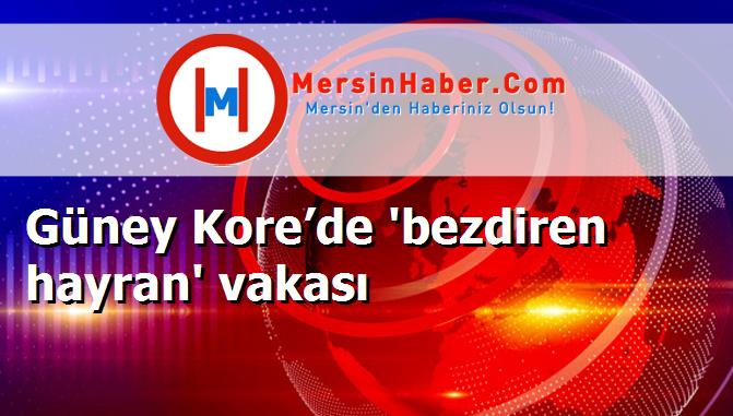 Güney Kore’de 'bezdiren hayran' vakası