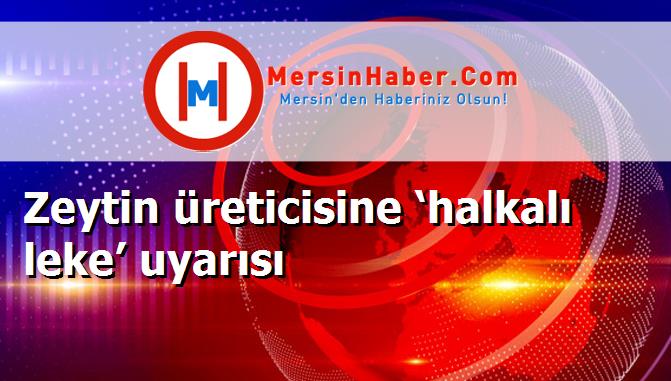 Zeytin üreticisine ‘halkalı leke’ uyarısı