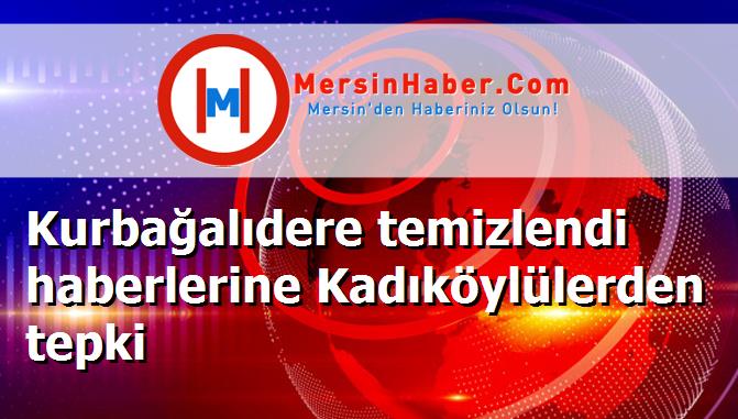 Kurbağalıdere temizlendi haberlerine Kadıköylülerden tepki