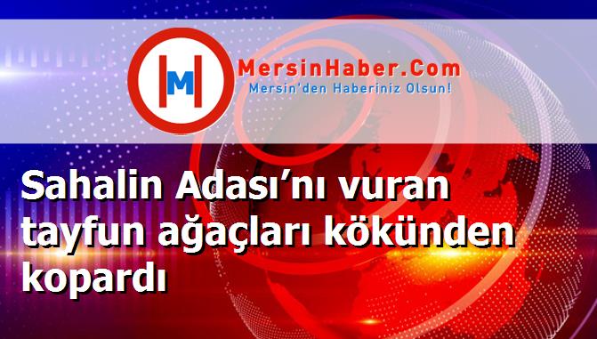 Sahalin Adası’nı vuran tayfun ağaçları kökünden kopardı