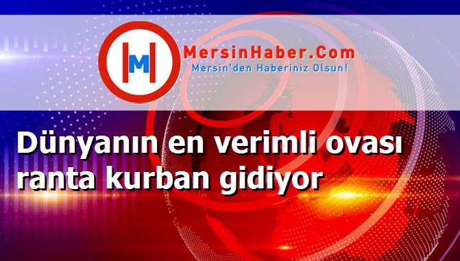 Dünyanın en verimli ovası ranta kurban gidiyor