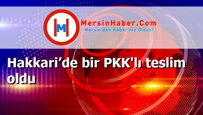 Hakkari’de bir PKK'lı teslim oldu