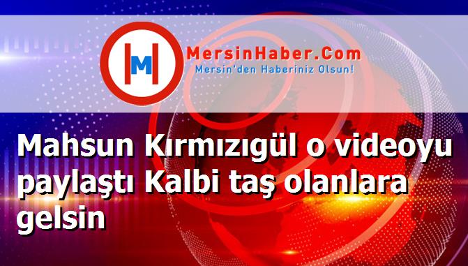 Mahsun Kırmızıgül o videoyu paylaştı Kalbi taş olanlara gelsin