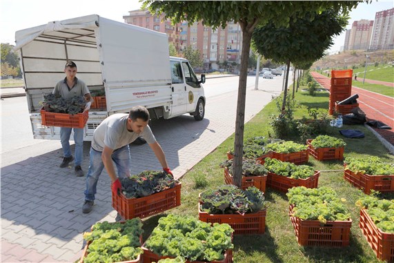 Yenimahalle’de kış hazırlıkları başladı