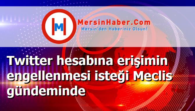 Twitter hesabına erişimin engellenmesi isteği Meclis gündeminde