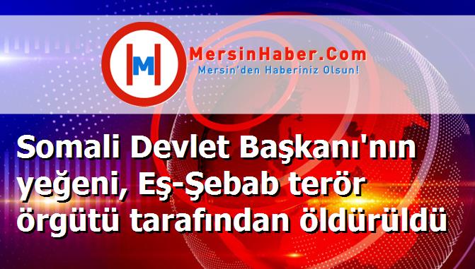 Somali Devlet Başkanı'nın yeğeni, Eş-Şebab terör örgütü tarafından öldürüldü