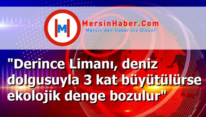 "Derince Limanı, deniz dolgusuyla 3 kat büyütülürse ekolojik denge bozulur"
