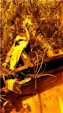 Uyuşturucuda yeni tehlike Scanc