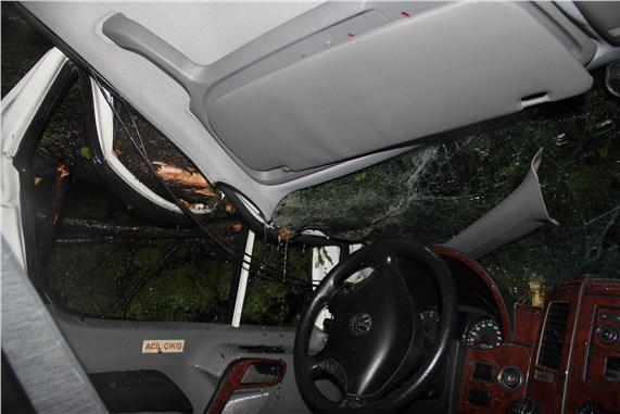 MHP’li adayları taşıyan aracın üzerine ağaç devrildi