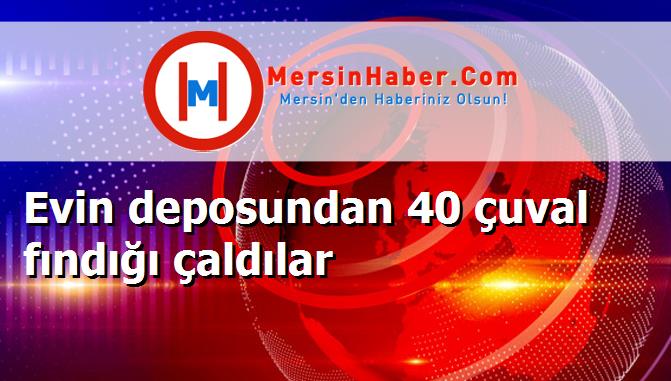 Evin deposundan 40 çuval fındığı çaldılar