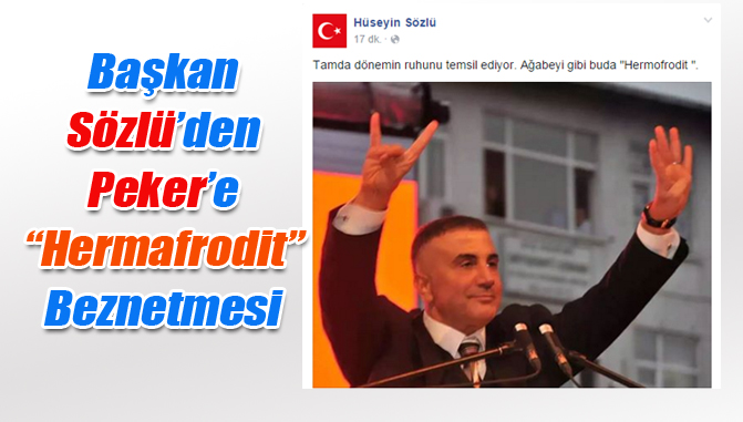 Hüseyin Sözlü'den Sedat Peker'e "Hermafrodit" Benzetmesi, Hermafrodit Nedir