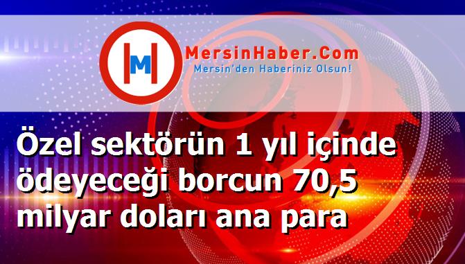 Özel sektörün 1 yıl içinde ödeyeceği borcun 70,5 milyar doları ana para