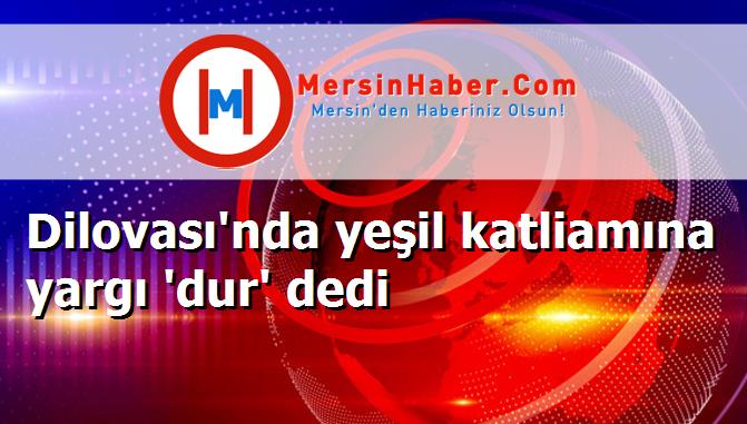 Dilovası'nda yeşil katliamına yargı 'dur' dedi