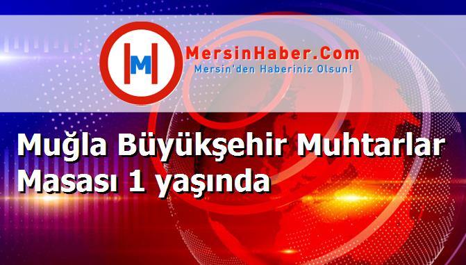 Muğla Büyükşehir Muhtarlar Masası 1 yaşında