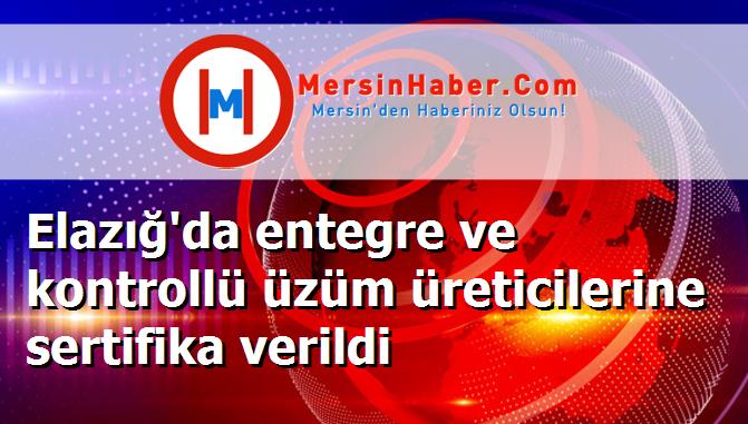 Elazığ'da entegre ve kontrollü üzüm üreticilerine sertifika verildi