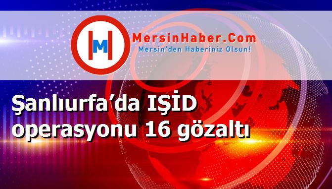 Şanlıurfa’da IŞİD operasyonu 16 gözaltı