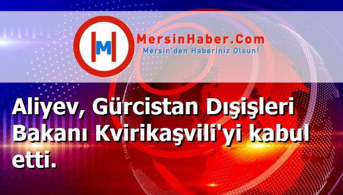 Aliyev, Gürcistan Dışişleri Bakanı Kvirikaşvili'yi kabul etti.