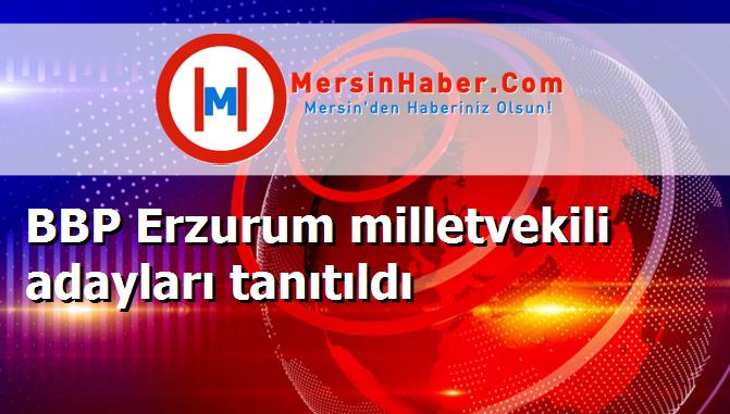 BBP Erzurum milletvekili adayları tanıtıldı