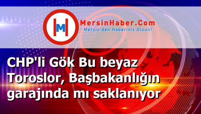 CHP'li Gök Bu beyaz Toroslor, Başbakanlığın garajında mı saklanıyor