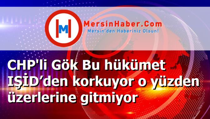 CHP'li Gök Bu hükümet IŞİD’den korkuyor o yüzden üzerlerine gitmiyor