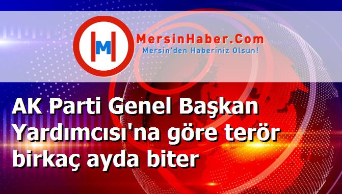 AK Parti Genel Başkan Yardımcısı'na göre terör birkaç ayda biter