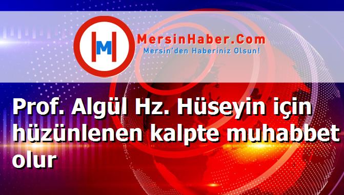 Prof. Algül Hz. Hüseyin için hüzünlenen kalpte muhabbet olur