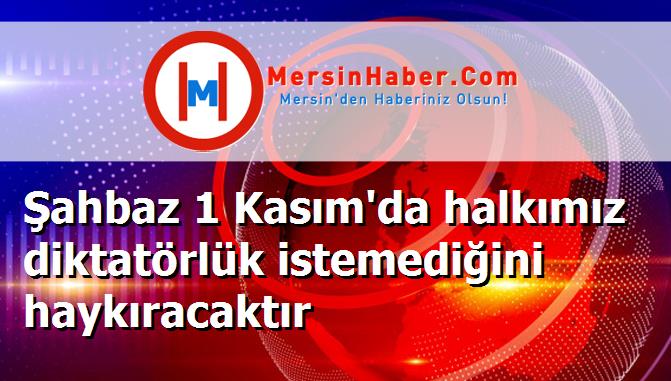 Şahbaz 1 Kasım'da halkımız diktatörlük istemediğini haykıracaktır