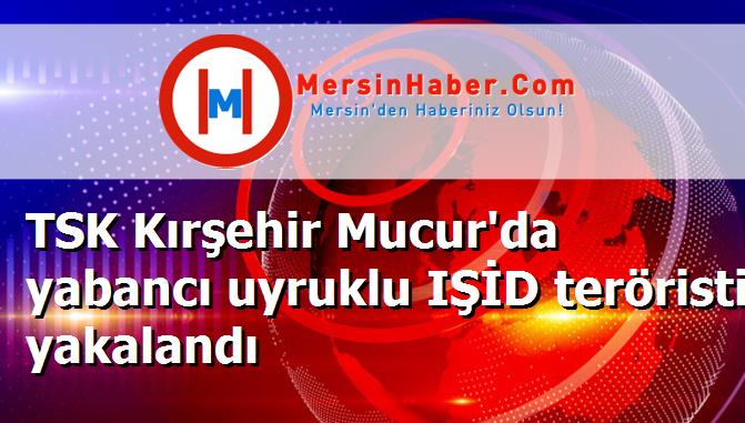 TSK Kırşehir Mucur'da yabancı uyruklu IŞİD teröristi yakalandı