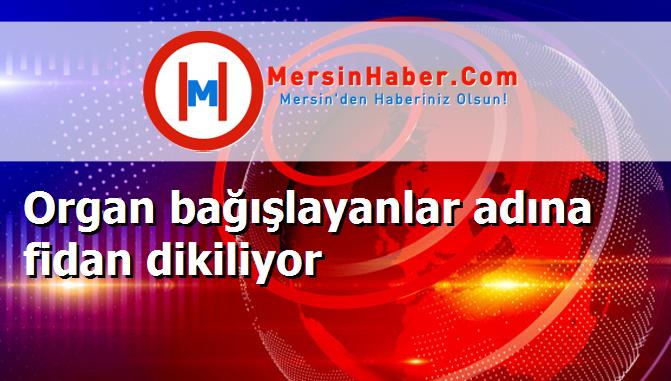 Organ bağışlayanlar adına fidan dikiliyor