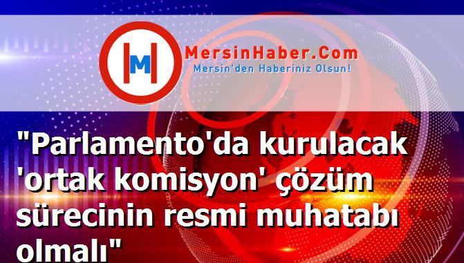 "Parlamento'da kurulacak 'ortak komisyon' çözüm sürecinin resmi muhatabı olmalı"