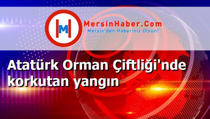 Atatürk Orman Çiftliği'nde korkutan yangın