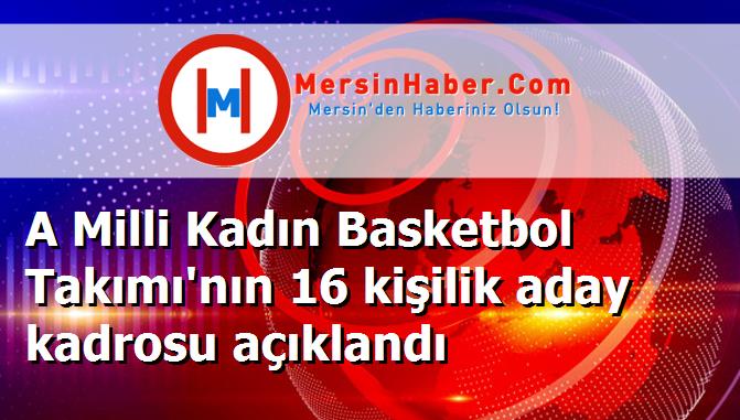 A Milli Kadın Basketbol Takımı'nın 16 kişilik aday kadrosu açıklandı