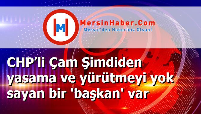 CHP’li Çam Şimdiden yasama ve yürütmeyi yok sayan bir 'başkan' var