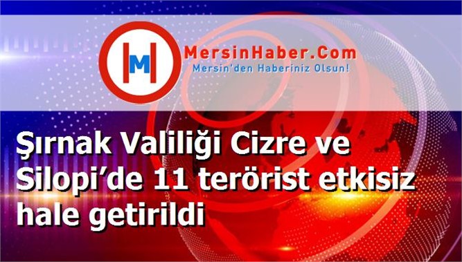 Şırnak Valiliği Cizre ve Silopi’de 11 terörist etkisiz hale getirildi