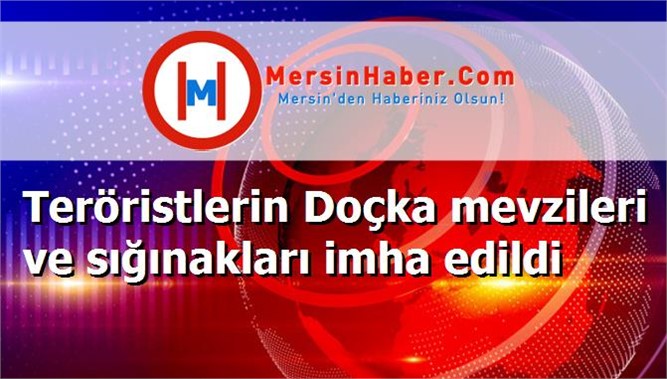 Teröristlerin Doçka mevzileri ve sığınakları imha edildi