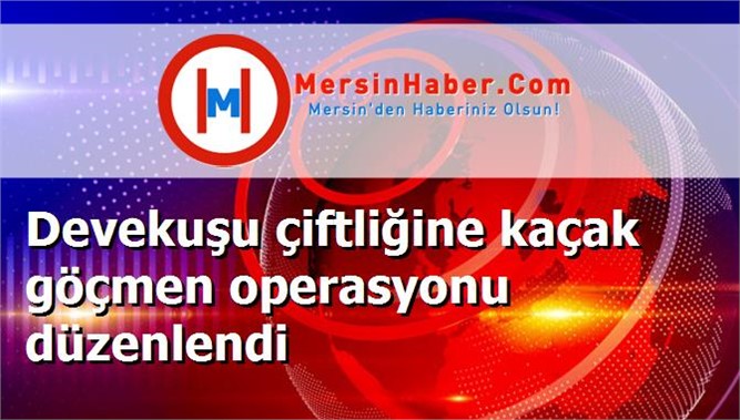 Devekuşu çiftliğine kaçak göçmen operasyonu düzenlendi
