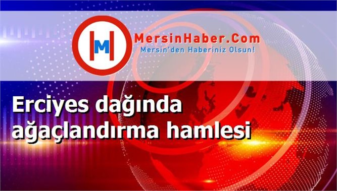 Erciyes dağında ağaçlandırma hamlesi