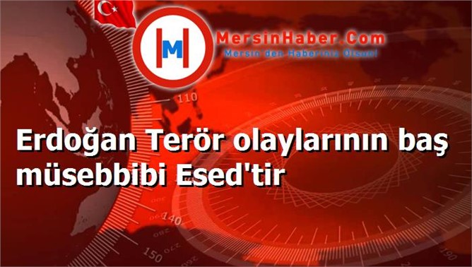 Erdoğan Terör olaylarının baş müsebbibi Esed'tir