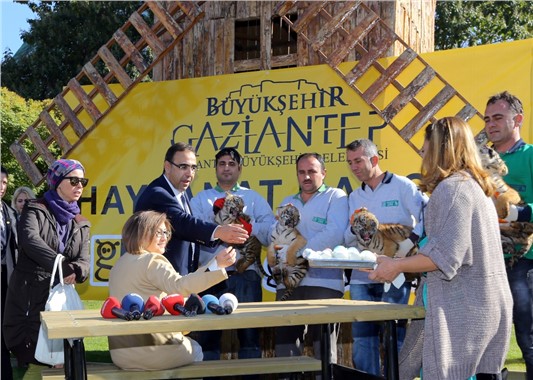 Gaziantep Hayvanat Bahçesi'nde dördüz kaplan sevinci