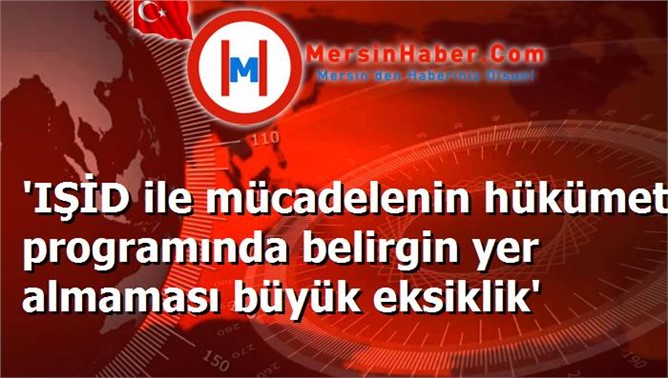 'IŞİD ile mücadelenin hükümet programında belirgin yer almaması büyük eksiklik'