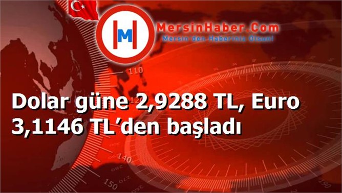 Dolar güne 2,9288 TL, Euro 3,1146 TL’den başladı