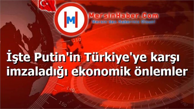 İşte Putin'in Türkiye'ye karşı imzaladığı ekonomik önlemler