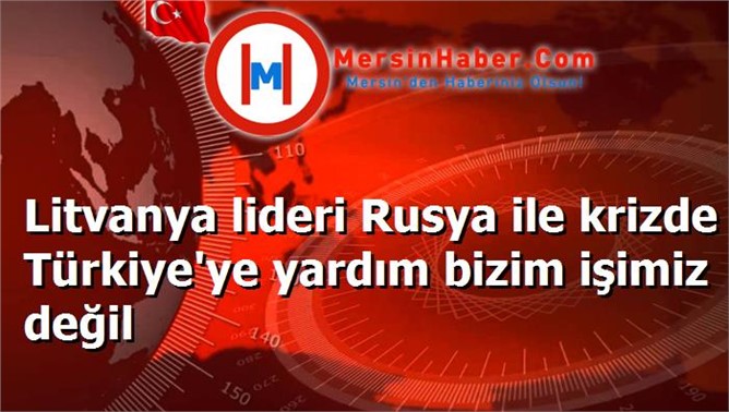 Litvanya lideri Rusya ile krizde Türkiye'ye yardım bizim işimiz değil